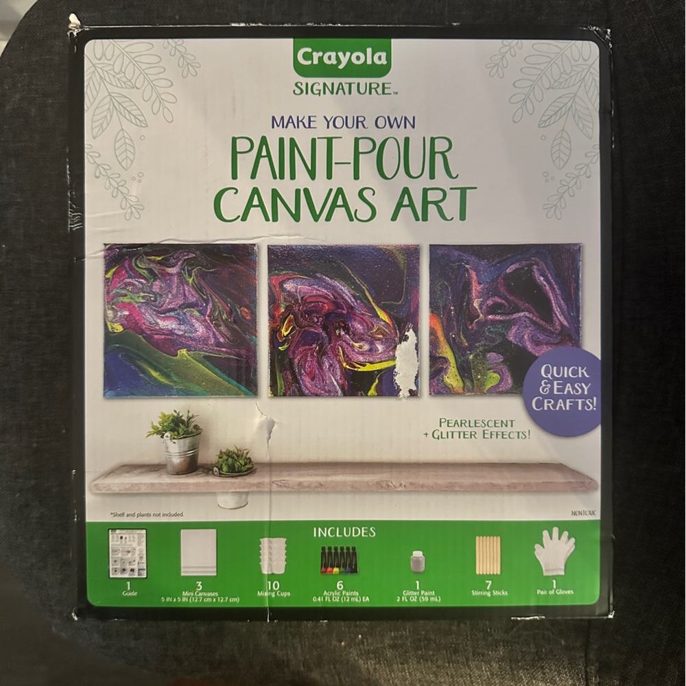 NEW IN BOX - Crayola Paint Pour Canvas Art Painting Kit